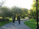  (2008-10-18 05:37:59)