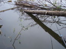  (2008-08-31 00:57:08)