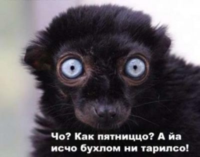 2008-11-26 13:55:51: 