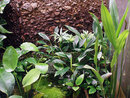  (2008-11-30 12:13:27)