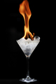  (2008-12-31 22:24:51)