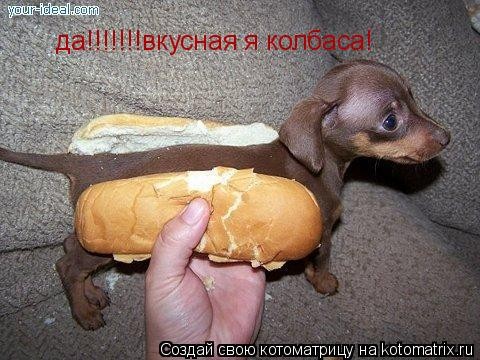 2009-04-06 21:49:02: 