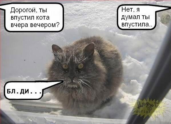 2009-04-08 23:19:05: Котам посвящается )