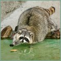  (2009-04-16 17:52:23)