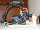 kaligula: домашнее животное | 2009-04-17 18:57:23