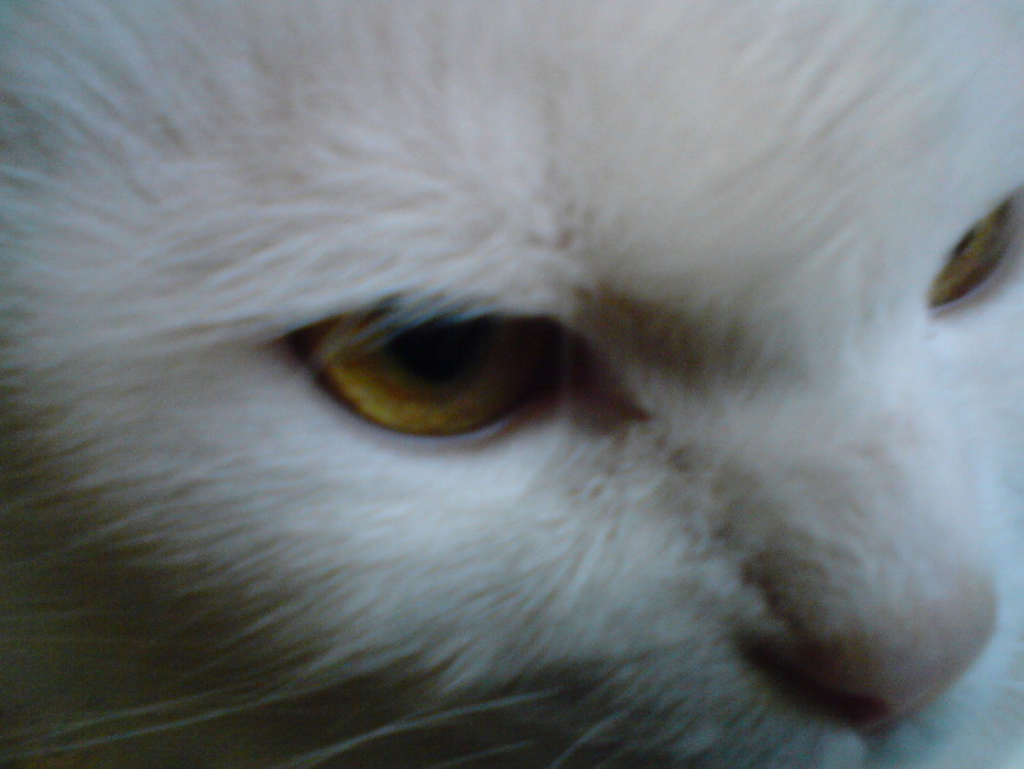 2009-05-15 23:45:42: 