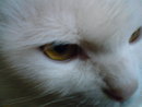 ПЬЯНЬ  и СУМАСБРОД:  | 2009-05-15 23:45:42