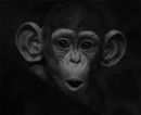  (2009-05-21 18:16:39)