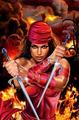  (2009-05-24 13:17:39)