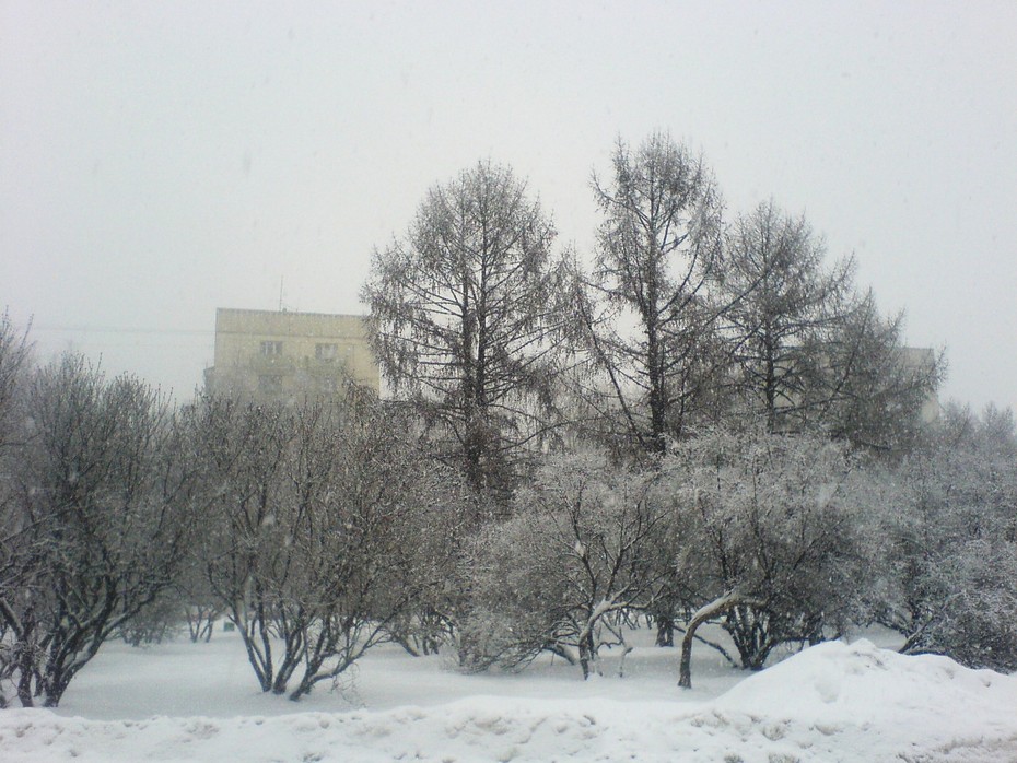 2009-02-16 22:53:21: зима в Москве :)
