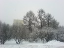 зима в Москве :) (2009-02-16 22:53:21)