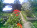  (2009-06-03 10:21:37)