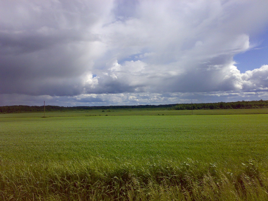 2009-06-08 19:39:56: 