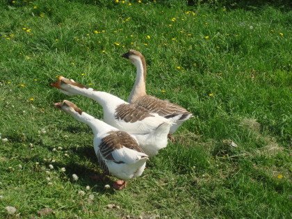 2009-09-07 16:20:09: 
