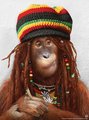 Йа! (2009-11-26 09:29:35)