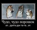  (2009-12-22 23:40:30)