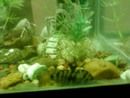  (2010-03-12 18:37:38)
