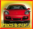 ресничка (2010-03-19 15:15:21)