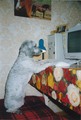 орех5: Хакер | 2010-03-31 11:31:13