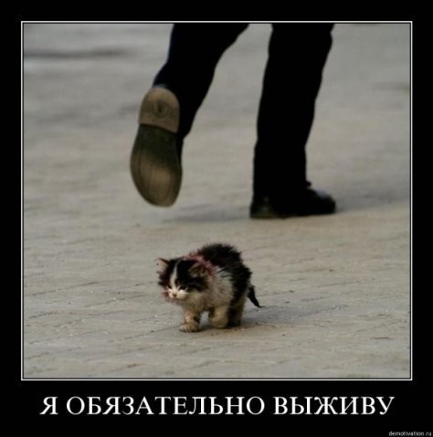 2010-04-20 12:51:02: 