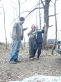  (2010-05-02 12:43:18)