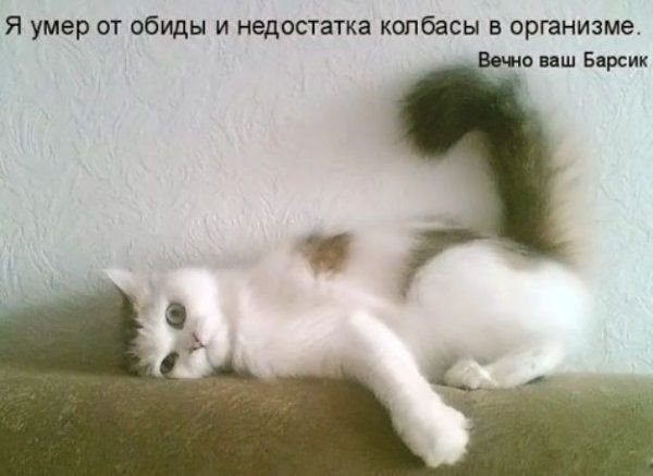 2010-05-08 19:00:11: 
