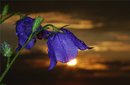 Еще один...:) (2010-05-14 18:09:04)