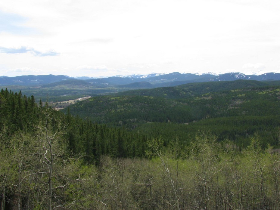 2010-05-18 05:30:51: Elbow River  - Fullerton Loop  Kananaskis