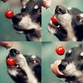  (2010-07-06 22:09:50)