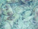  (2010-08-03 12:18:39)