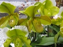 DMitrii:  | 2010-11-24 18:43:45