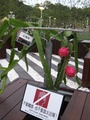  (2010-11-24 18:47:08)