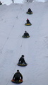 2е из них наши (2011-01-05 21:36:01)