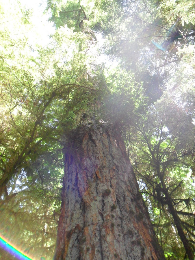 2011-07-06 06:31:14: 