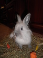  (2011-08-20 10:51:25)