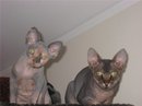 (2011-09-01 18:35:29)