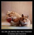 serik69:  | 2011-01-29 20:12:13