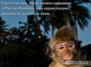 vkaraban: Бывает) | 2017-02-20 22:20:49